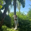 ALBA - White Knit Co-Ord<Boutique Bonita Sale
