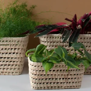 Bonita's Open Weave Storage Boxes (Trio)<Boutique Bonita Fashion