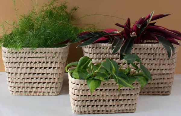 Bonita's Open Weave Storage Boxes (Trio)<Boutique Bonita Fashion