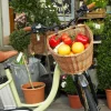 The Adult Oval Bike Basket<Boutique Bonita Fashion