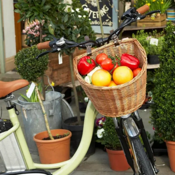 The Adult Oval Bike Basket<Boutique Bonita Fashion