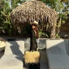 VENUS - Black Knit Dress<Boutique Bonita New